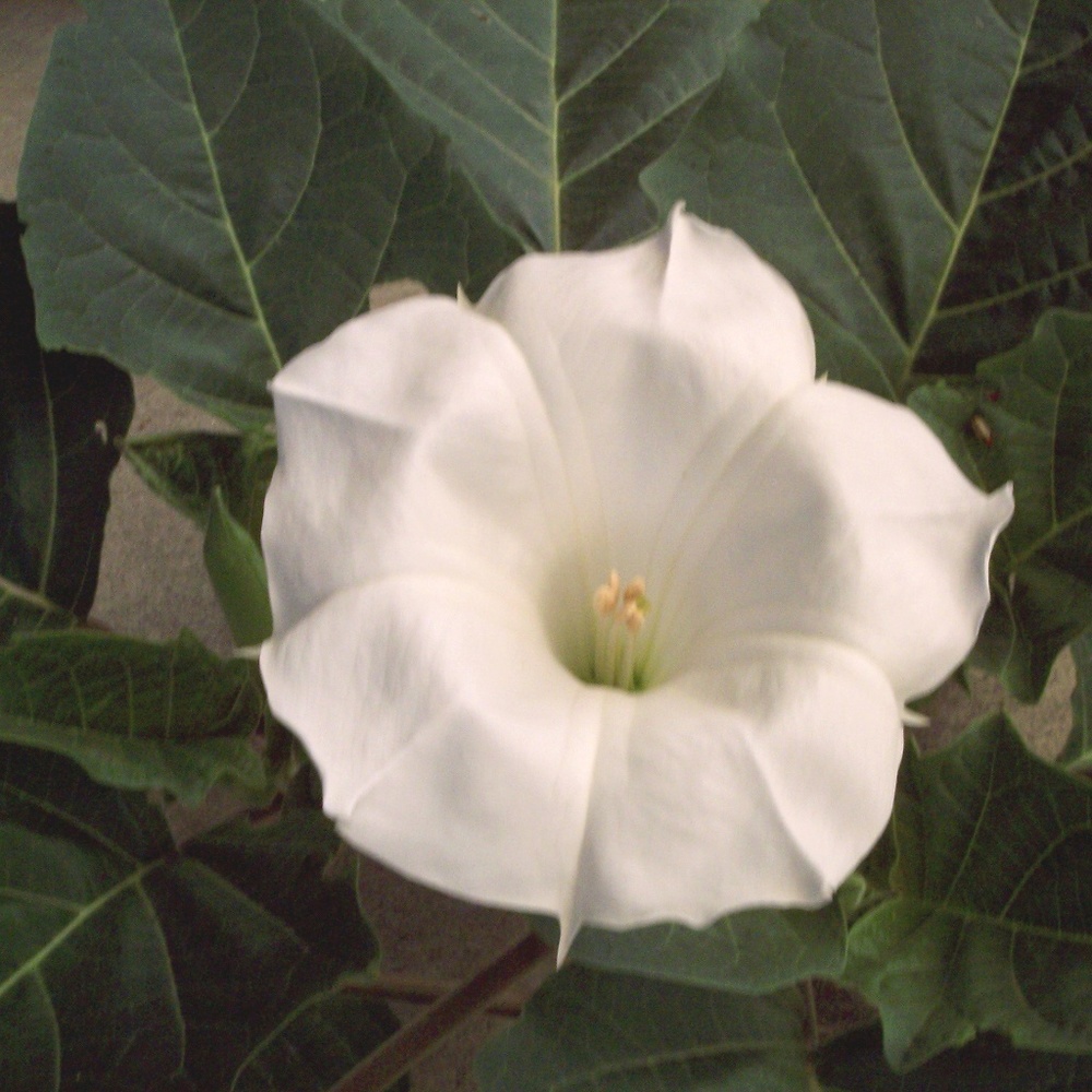 Meet your Posher, Heidi